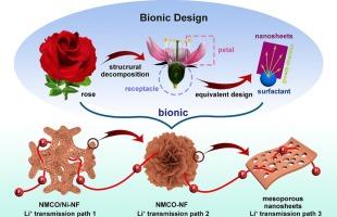 3D multi-scale hierarchical nanoflower design of bionic rose: Mesoporous Ni-Mn-Co-O anode and its derivative LiNi1/3Co1/3Mn1/3O2 cathode boosting high-property Lithium-ion batteries