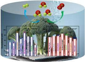 High-performance multimetal broccoli-like structure MnMoO4/CoWO4/NF nanocomposite as a bifunctional electrocatalyst for efficient water splitting