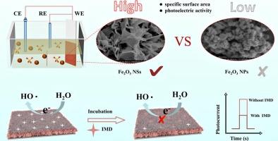 Ultrathin Fe2O3 nanosheet-enhanced molecularly imprinted photoelectrochemical sensor for ultrasensitive detection of imidacloprid pesticide