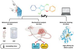 Modulating monoaminergic systems: A study on 3,5-dimethyl-1-phenyl-4-(phenylselenyl)-1H-pyrazole in lipopolysaccharide-induced depressive-like symptoms in mice