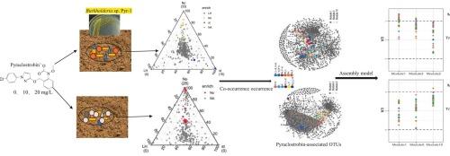Revealing the mechanism of Burkholderia sp. Pyr-1 driven removal of pyraclostrobin-contamination through soil microbial community function and assembly