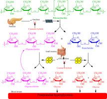 Natural scaffold, modern strategy: Coumarin hybrids as potential carbohydrate-digesting enzyme inhibitors-A decade of medicinal chemistry exploration (2015–2025)