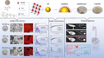 Gallic acid-reinforced Rana chensinensis ovum protein isolates-Gellan gum thermally reversible emulsion gel: Insight of the structure and potential applications in dysphagia management