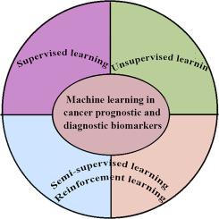 Machine learning in cancer prognostic and diagnostic biomarkers: A promising approach for early cancer detection