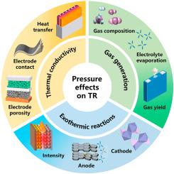 External pressure effects on thermal runaway in prismatic LiFePO4 batteries: Mechanistic insights for safer battery systems in electric vehicles