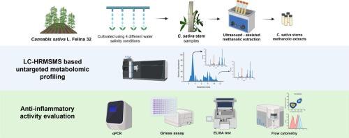 From waste to value: evaluation of chemical composition and anti-inflammatory activity of Cannabis sativa stem extracts