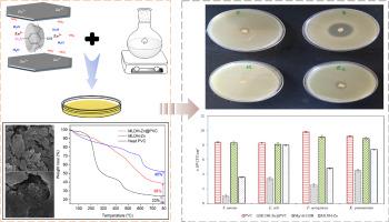 Modification of PVC using Mg/Al-LDH intercalated with supramolecular sulfonated calix[4]arene/zinc and investigation of its antibacterial activity