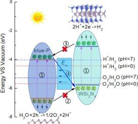 Study on electronic and optical properties of novel potential photocatalytic water splitting material: Z-scheme blue-P/WSi2N4 vdW heterostructure