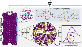 Unveiling single-layer Hittorf's violet phosphorus as a novel sodium host anode to advance Na-ion battery technology