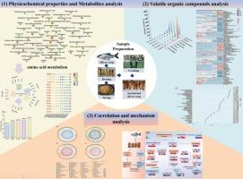 Dynamic changes in flavor characteristics of marinated silver carp during marinating: Insight from amino acid metabolic pathways