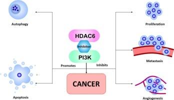 Dual targeting of Phosphoinositide 3-Kinase (PI3K) and histone deacetylase 6 (HDAC6) in cancer