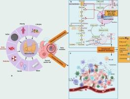 Oncogenic mutation-driven metabolism-immunity regulatory axis: Potential prospects for thyroid cancer precision therapy