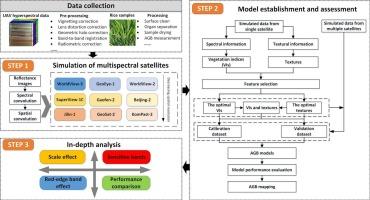 Evaluating the potential of very high-resolution satellite data for the enhanced estimation of rice aboveground biomass by combining spectral and spatial information