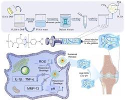 Injectable self-healing hydrogel loaded PLGA nanoparticles for long-term osteoarthritis therapy