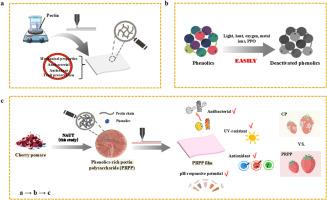 Phenolics-rich pectin polysaccharide film from cherry pomace for perishable fruit preservation