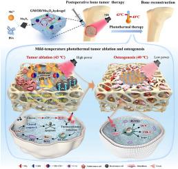 Mn3O4-potentiated bifunctional hydrogel for mild temperature-controlled tumor ablation and osteogenesis