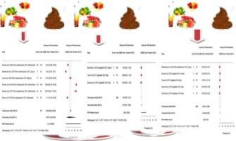 Prevalence of Hepatitis A and E viruses in ready-to-eat foods: A meta-analysis