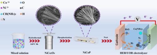 Bifunctional electrocatalysts based on nano-fan-shaped NiCoP for hydrogen evolution and urea oxidation reactions