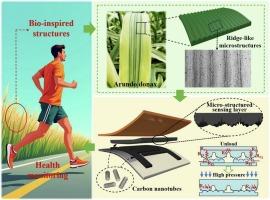 Flexible pressure sensor with bioinspired hierarchical ridge-like microstructures with high sensitivity and wide detection range based on MWCNT composites