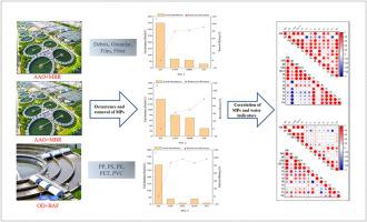 Occurrence, characteristics and removal of microplastics in wastewater treatment plants with different treatment processes