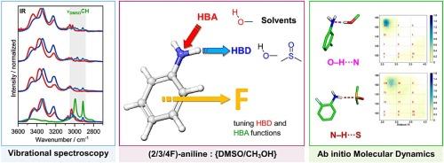 Fluorine-induced perturbations in hydrogen bond networks: Insights from FT-IR, Raman, and AIMD simulations