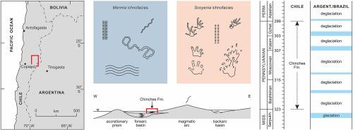 Tetrapod tracks and other trace fossils from the Chinches Formation (Andean Precordillera, northern Chile): Indication for Pennsylvanian age and glacial influence