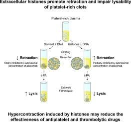 Extracellular histones promote retraction and impair lysability of platelet-rich clots