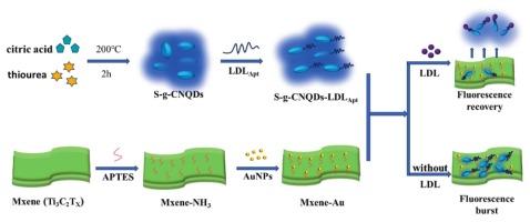 FRET-driven fluorescent aptasensor for ultrasensitive low-density lipoprotein detection integration of sulfur-doped carbon nitride quantum dots and MXene-Gold nanocomposites