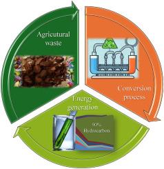Catalyst evaluation for renewable fuels production from cocoa bean shell pyrolysis