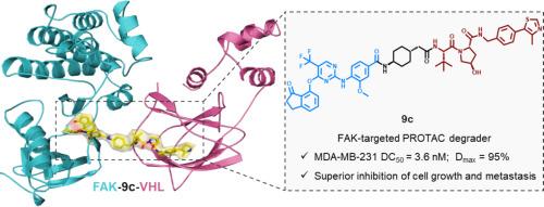 Structure-guided design of a potent focal adhesion kinase (FAK) degrader via ternary complex modeling and molecular dynamics simulation