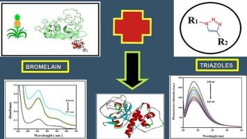 Exploring the binding interaction between triazoles and bromelain by spectroscopic and molecular docking techniques