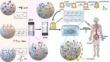 Thermosensitive chitosan-oxidized dextran-β-glycerophosphate sodium injectable hydrogel for enhanced solubility and prolonged release of ethinylestradiol: a novel long-acting contraceptive platform