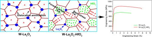 Simultaneously enhancing the strength and ductility of W through heterostructured grains driven by controllable oxide distributions
