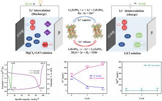 FePO4-Zn/Pt hybrid battery system for the electrochemical extraction of Li+ from salt lake brine with high Mg2+ concentrations