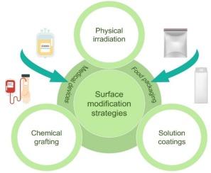Surface modification strategies for inhibiting the migration of plasticizers from plastics