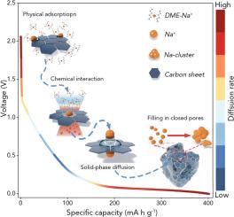 Dynamic behavior on multi-stage sodium storage in disordered carbon