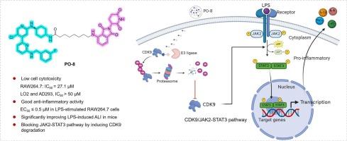 The CDK9-targeting degrader PO-8 alleviates LPS-induced inflammation by inhibiting JAK-STAT signaling in vitro and in vivo