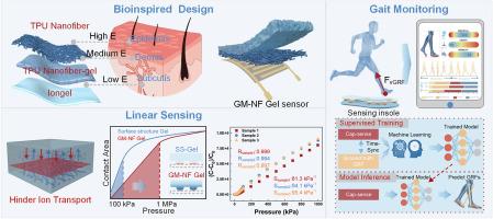 Ultra-linear flexible pressure sensors via skin-inspired gradient engineering