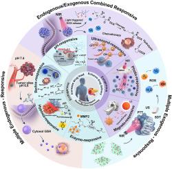 Responsive nanomedicine strategies achieve pancreatic cancer precise theranostics