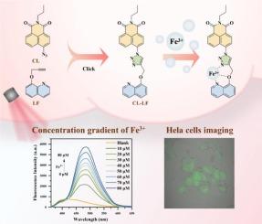 Synthesis of naphthylimide-quinoline fluorescent probe for the detection of Fe3+ and its application to Hela cells imaging
