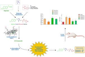 Synthesis and biological evaluation of novel naproxen–phenacetin triazole hybrids as promising anti-inflammatory agents with enhanced gastrointestinal tolerability