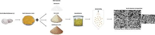 Nitrogen-doped porous carbon-immobilized NiCo bimetallic alloy nanoparticles derived from Ni-bio-MOFs and Co-DESs: an efficient and magnetic catalyst for the reduction of nitroarenes