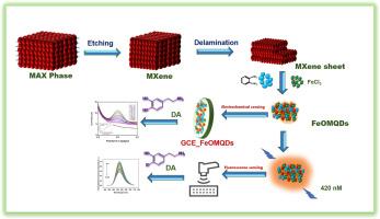 Iron and nitrogen co-doped MXene quantum dots: A novel dual-mode electrochemical and fluorescence sensor for dopamine detection