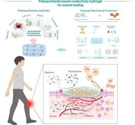 Recent developments in polysaccharide-based conductive hydrogels: A review and perspective