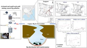 Historical artisanal gold mining poses long-term risk of mercury to river ecosystems: A case study in Tongguan area of northwestern China