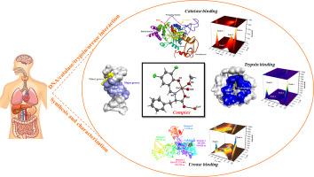 Investigation of the binding affinity of a newly synthesized copper(II) complex to DNA and enzymes (catalase/trypsin/urease) using spectrofluorimetry and in silico approaches