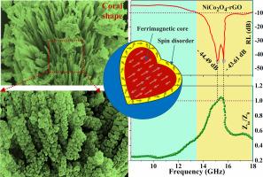 Paramagnetic spin disorder on ferrimagnetic surface and dual dip microwave absorption for hydrothermally synthesized coral shaped NiCo2O4-rGO composite