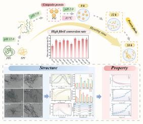 Fibrillation mechanism of soybean protein isolate and pea protein isolate composites: Focused on structure and rheological properties
