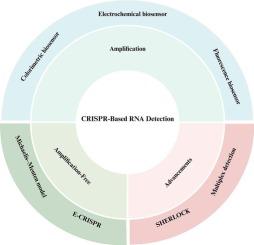 The progress of CRISPR/Cas-based RNA detection