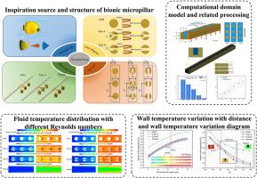 Bio-inspired micropillar arrays for enhanced thermal-hydraulic performance in microchannel heat sinks: A numerical and experimental study